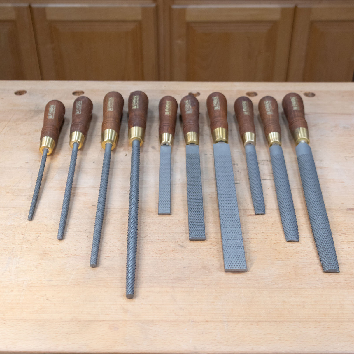 Narex 10pc. Master Rasp Set, Machine Stitched