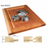 Carbide insert shaper cutter set on wood cabinet door with profile and tongue joinery diagrams