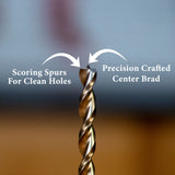 Close-up of woodworking drill bit tip showing scoring spurs and precision center brad